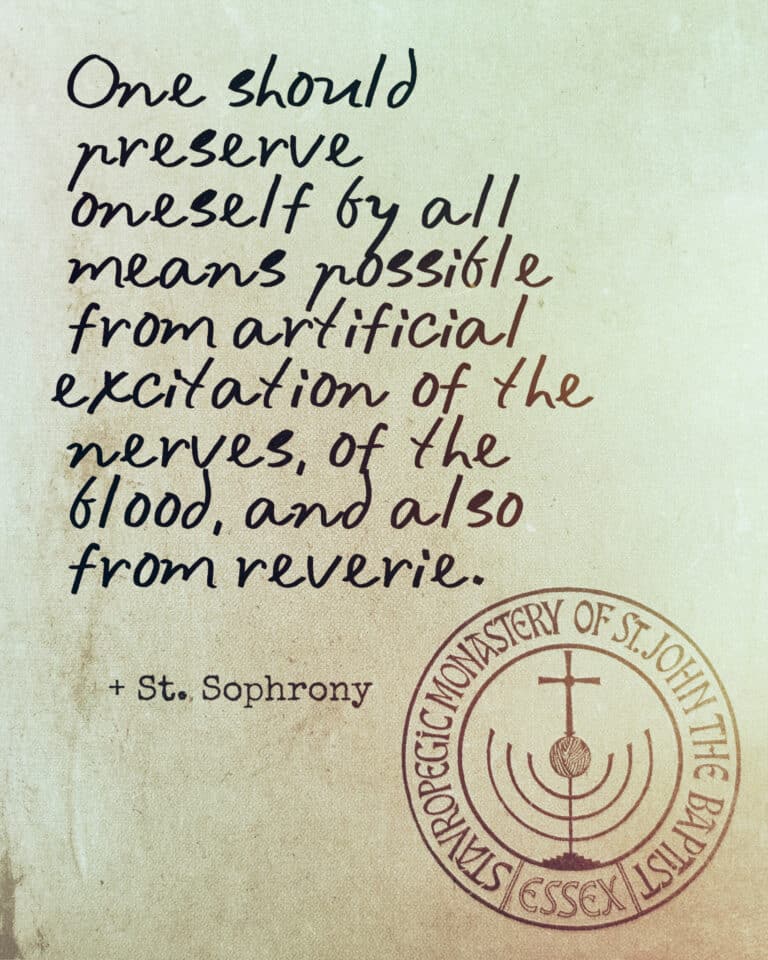 Quote from St. Sophrony: "One should preserve oneself by all means possible from artificial excitation of the nerves, of the blood, and also from reverie.